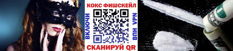 продажа наркотиков  omg зеркало  COCAIN Эквадор  Ядрин 